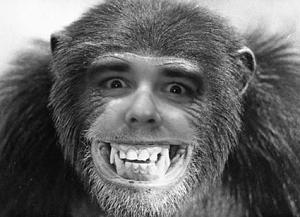 scott chimp