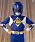 The Blue Ranger's Avatar